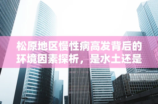松原地区慢性病高发背后的环境因素探析，是水土还是生活方式？