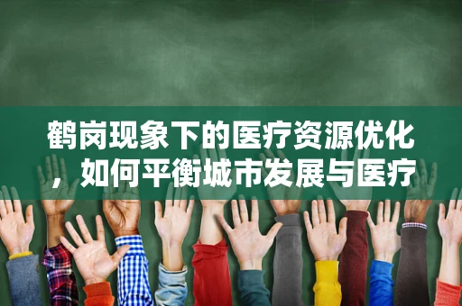 鹤岗现象下的医疗资源优化，如何平衡城市发展与医疗服务？