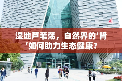 湿地芦苇荡，自然界的‘肾’如何助力生态健康？