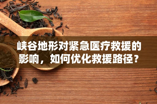 峡谷地形对紧急医疗救援的影响，如何优化救援路径？