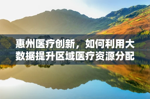 惠州医疗创新，如何利用大数据提升区域医疗资源分配效率？