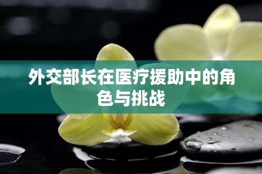 外交部长在医疗援助中的角色与挑战