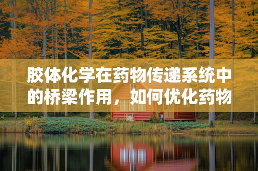 胶体化学在药物传递系统中的桥梁作用，如何优化药物载体的稳定性与效能？