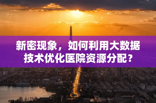 新密现象，如何利用大数据技术优化医院资源分配？