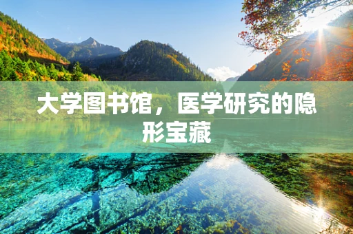 大学图书馆，医学研究的隐形宝藏