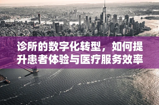 诊所的数字化转型，如何提升患者体验与医疗服务效率？