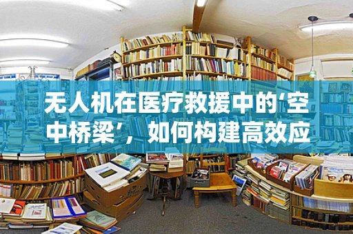 无人机在医疗救援中的‘空中桥梁’，如何构建高效应急响应系统？