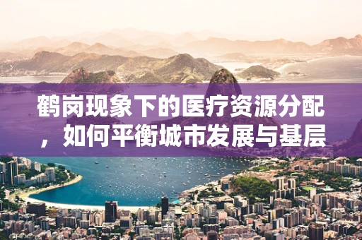 鹤岗现象下的医疗资源分配，如何平衡城市发展与基层医疗需求？