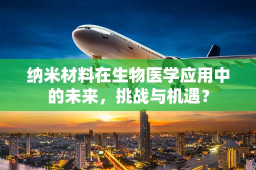 纳米材料在生物医学应用中的未来，挑战与机遇？