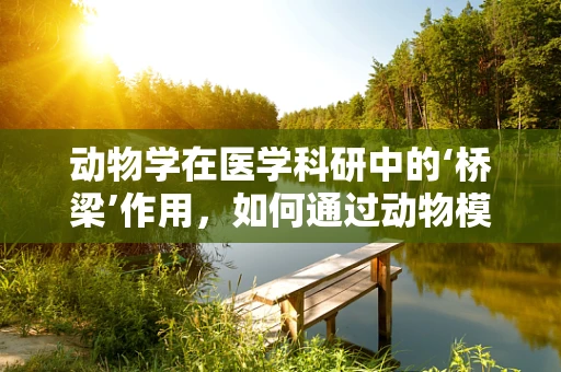 动物学在医学科研中的‘桥梁’作用，如何通过动物模型探索疾病机制？
