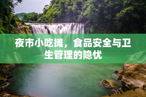夜市小吃摊，食品安全与卫生管理的隐忧