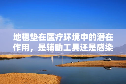 地毯垫在医疗环境中的潜在作用，是辅助工具还是感染风险源？