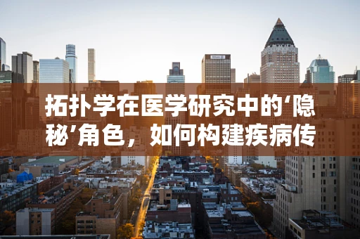 拓扑学在医学研究中的‘隐秘’角色，如何构建疾病传播的‘地图’？