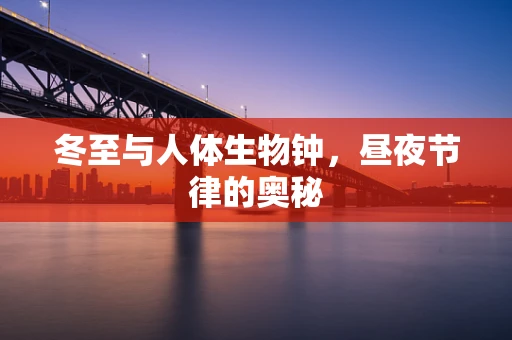 冬至与人体生物钟，昼夜节律的奥秘