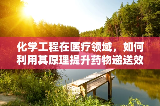 化学工程在医疗领域，如何利用其原理提升药物递送效率？