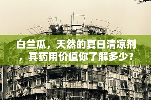 白兰瓜，天然的夏日清凉剂，其药用价值你了解多少？