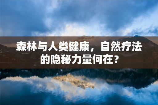 森林与人类健康，自然疗法的隐秘力量何在？