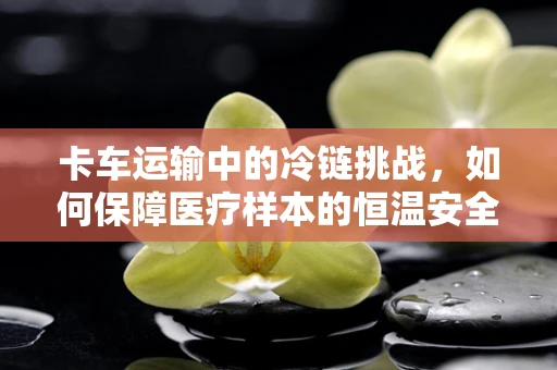 卡车运输中的冷链挑战，如何保障医疗样本的恒温安全？