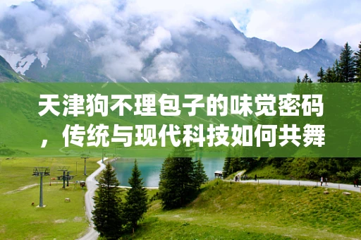 天津狗不理包子的味觉密码，传统与现代科技如何共舞？