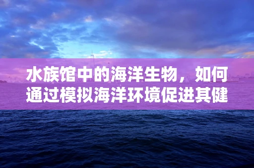 水族馆中的海洋生物，如何通过模拟海洋环境促进其健康与科研？