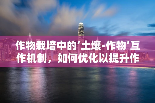 作物栽培中的‘土壤-作物’互作机制，如何优化以提升作物产量与品质？