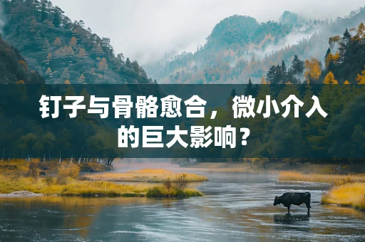 钉子与骨骼愈合，微小介入的巨大影响？