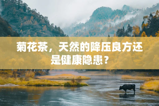 菊花茶，天然的降压良方还是健康隐患？