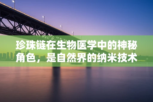 珍珠链在生物医学中的神秘角色，是自然界的纳米技术还是疾病治疗的潜在策略？