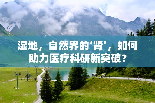 湿地，自然界的‘肾’，如何助力医疗科研新突破？