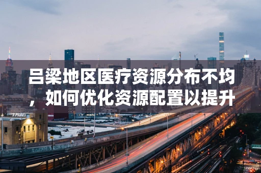 吕梁地区医疗资源分布不均，如何优化资源配置以提升基层医疗服务？