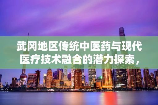 武冈地区传统中医药与现代医疗技术融合的潜力探索，能否成为医疗创新的新高地？