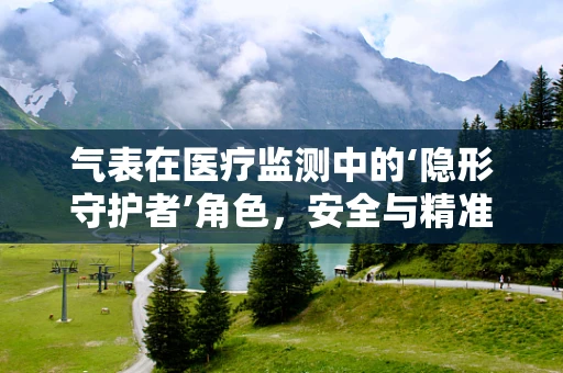 气表在医疗监测中的‘隐形守护者’角色，安全与精准的平衡如何实现？