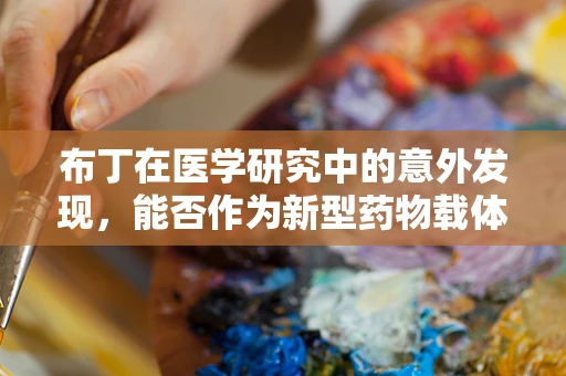 布丁在医学研究中的意外发现，能否作为新型药物载体？