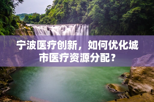 宁波医疗创新，如何优化城市医疗资源分配？