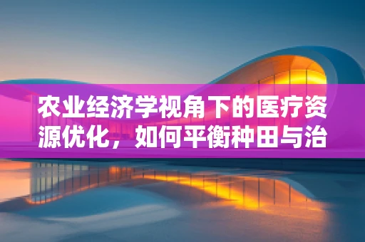 农业经济学视角下的医疗资源优化，如何平衡种田与治病？