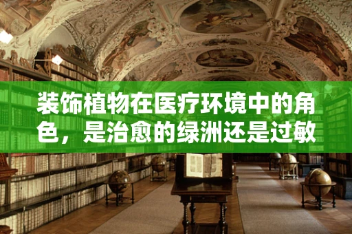 装饰植物在医疗环境中的角色，是治愈的绿洲还是过敏的源头？