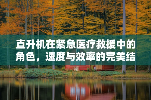直升机在紧急医疗救援中的角色，速度与效率的完美结合？