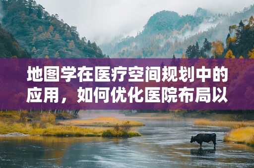 地图学在医疗空间规划中的应用，如何优化医院布局以提升患者体验？