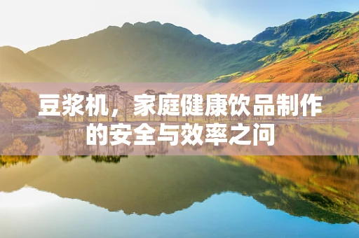 豆浆机，家庭健康饮品制作的安全与效率之问