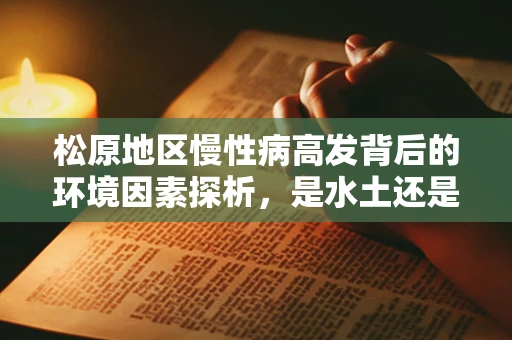 松原地区慢性病高发背后的环境因素探析，是水土还是生活方式？