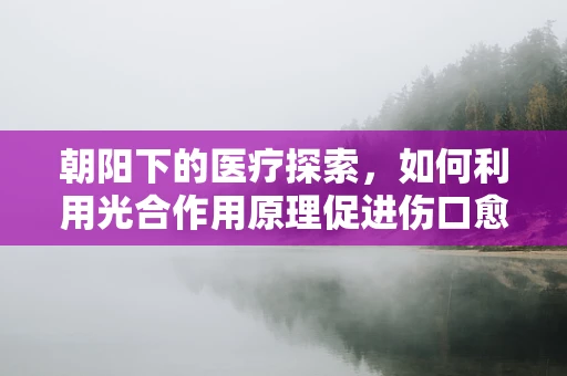 朝阳下的医疗探索，如何利用光合作用原理促进伤口愈合？