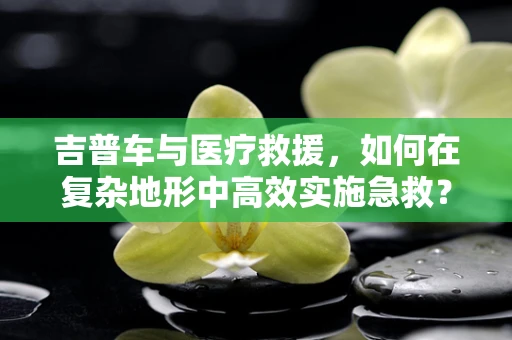 吉普车与医疗救援，如何在复杂地形中高效实施急救？