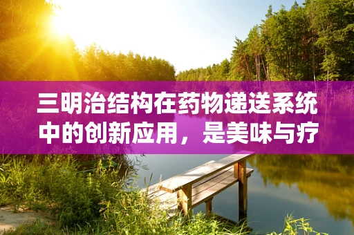三明治结构在药物递送系统中的创新应用，是美味与疗效的完美结合吗？