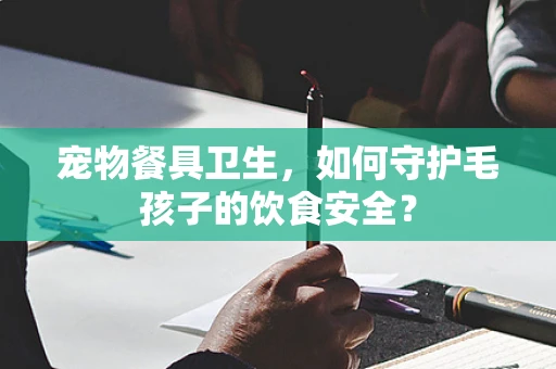 宠物餐具卫生，如何守护毛孩子的饮食安全？