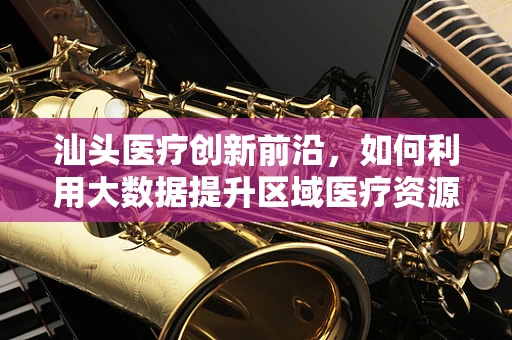 汕头医疗创新前沿，如何利用大数据提升区域医疗资源分配效率？